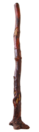 Didgeridoo wide bell end